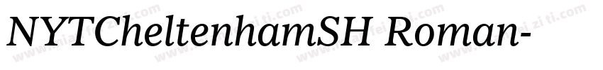 NYTCheltenhamSH Roman字体转换